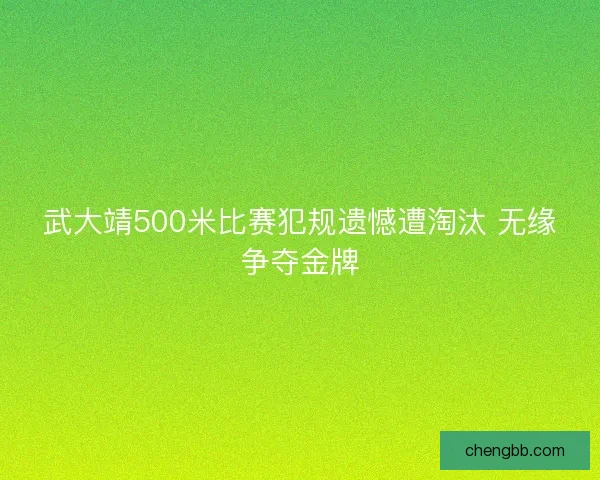 武大靖500米比赛犯规遗憾遭淘汰 无缘争夺金牌