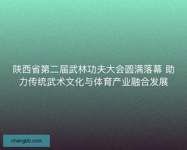 陕西省第二届武林功夫大会圆满落幕 助力传统武术文化与体育产业融合发展