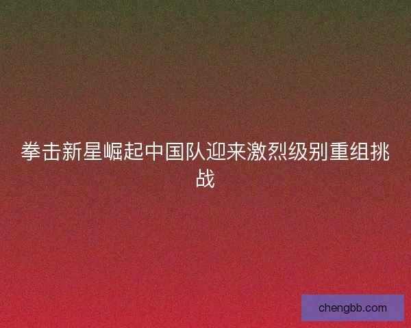 拳击新星崛起中国队迎来激烈级别重组挑战